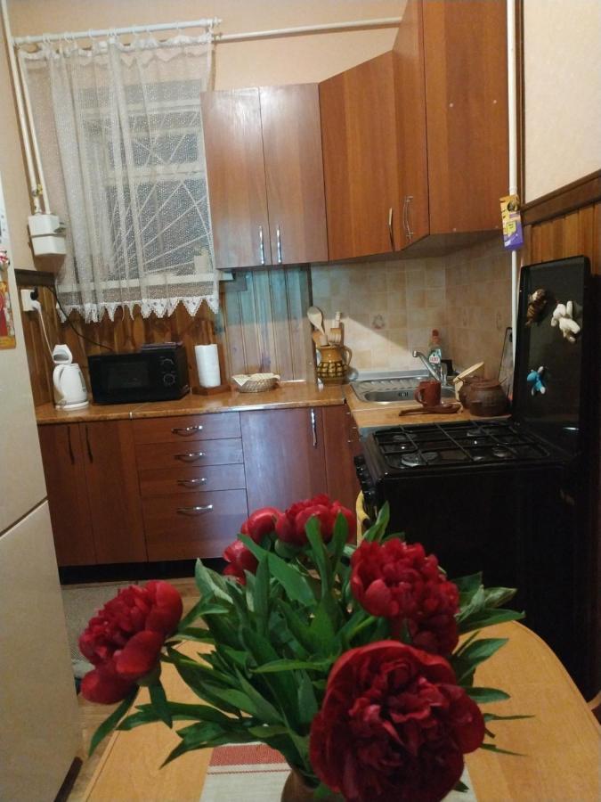 קאמיאנטס - פודיסקי Apartment In The Center Of Old Town מראה חיצוני תמונה